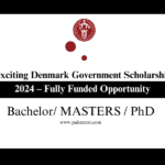 Exciting Denmark Government Scholarship 2024 – Fully Funded Opportunity